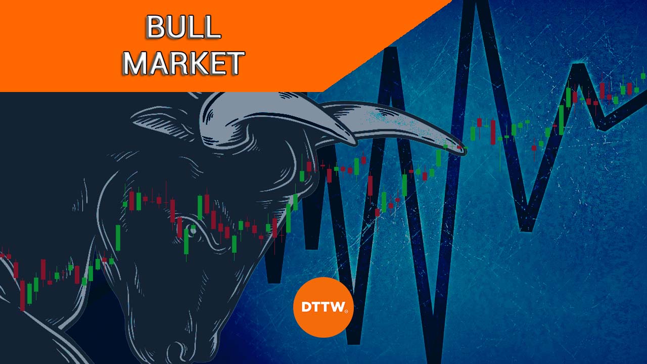 Bull Market Overview: Triggers and How to Deal with It