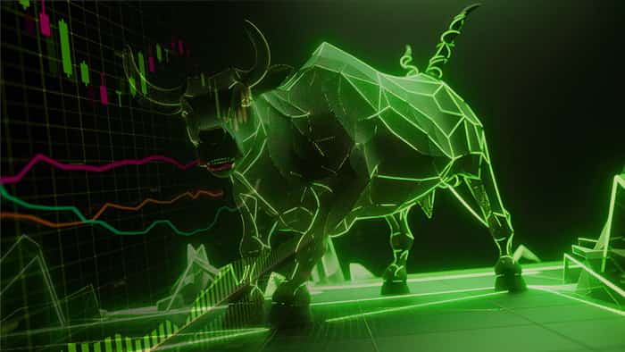 bull market strategies